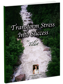 Transform Stress Into Success